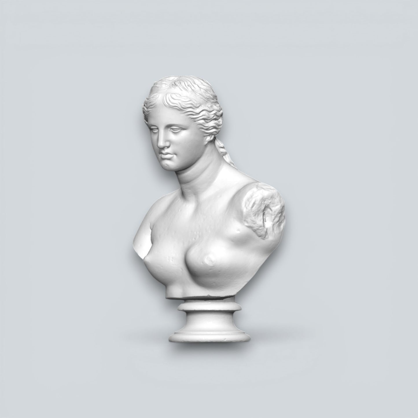 Venüs | Aphrodite  Büst
