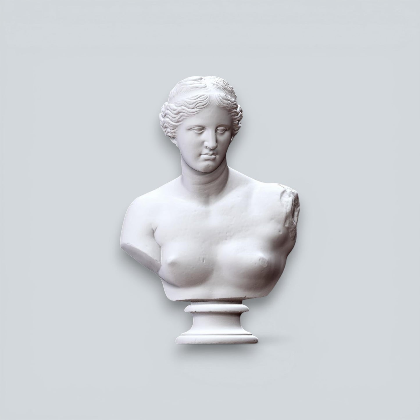 Venüs | Aphrodite  Büst
