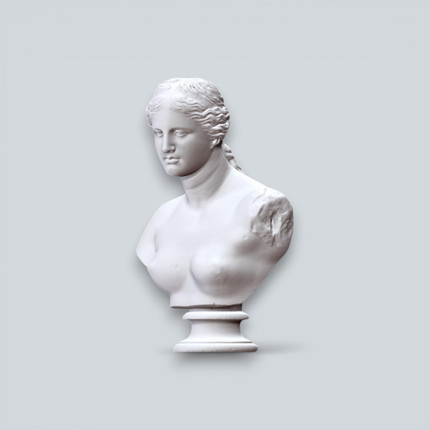 Venüs | Aphrodite  Büst